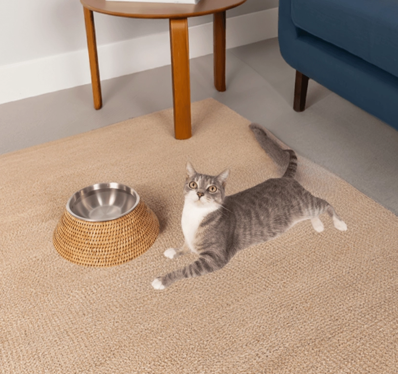 Rattan Pet Bowl